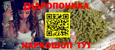 дмт Волжск