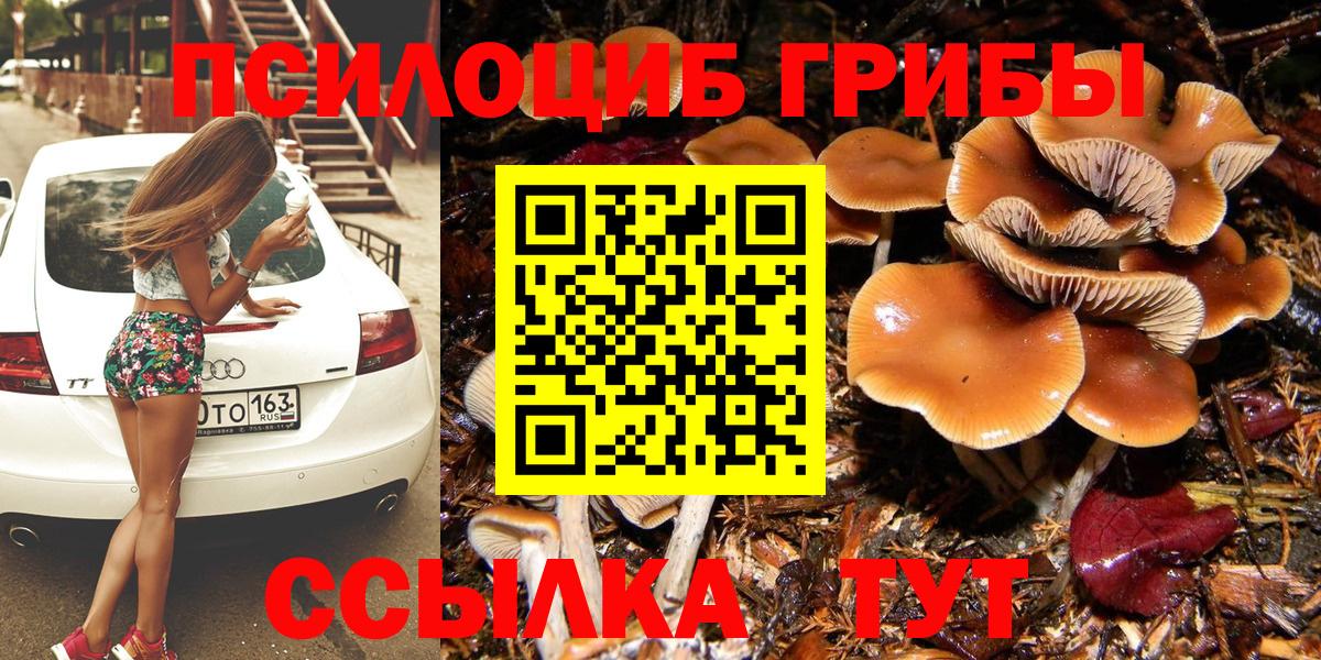 Новозыбков  Галлюциногенные грибы мухоморы  Галлюциногенные грибы GOLDEN TEACHER  Вход с VPN 